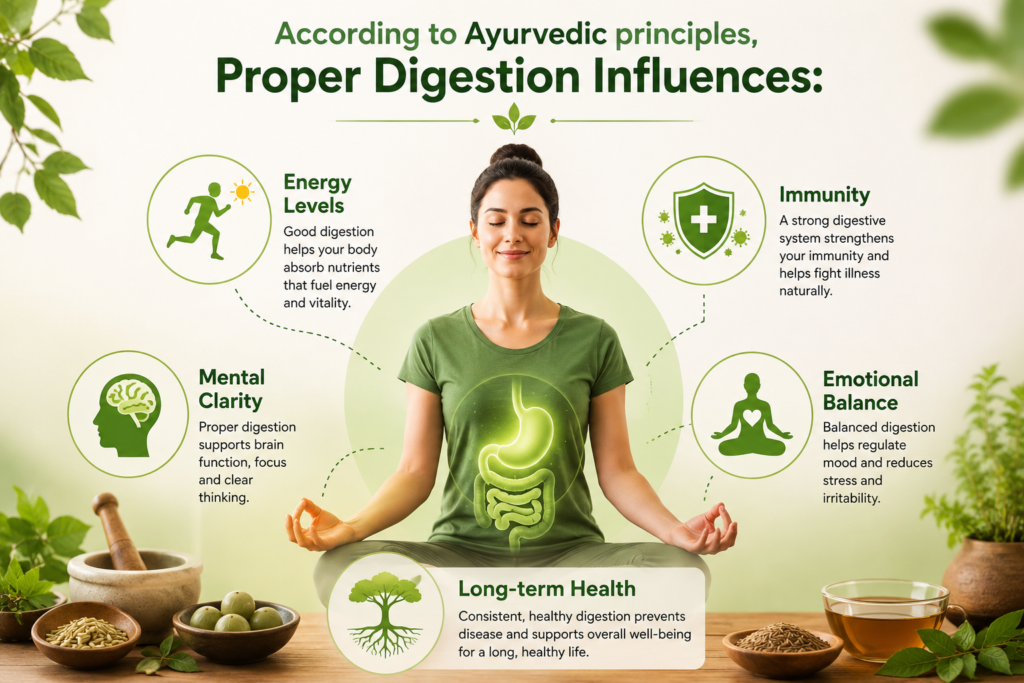 Proper digestion influences 